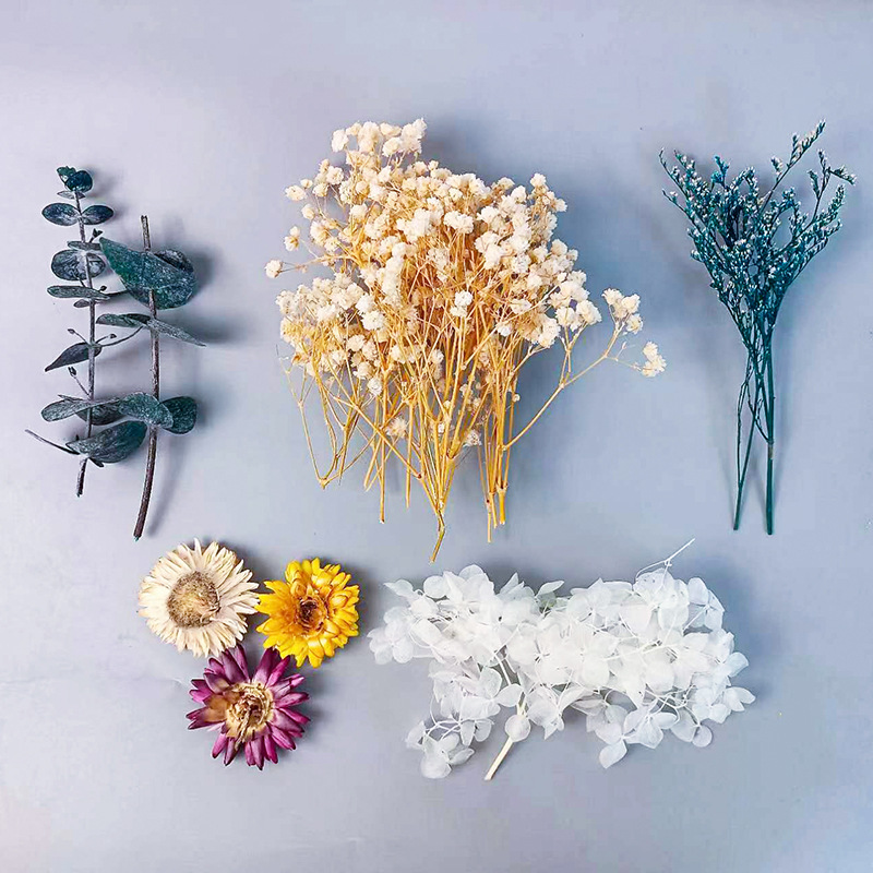 Craft Embellishment - 다양한 건조 꽃 세트 1팩 DIY