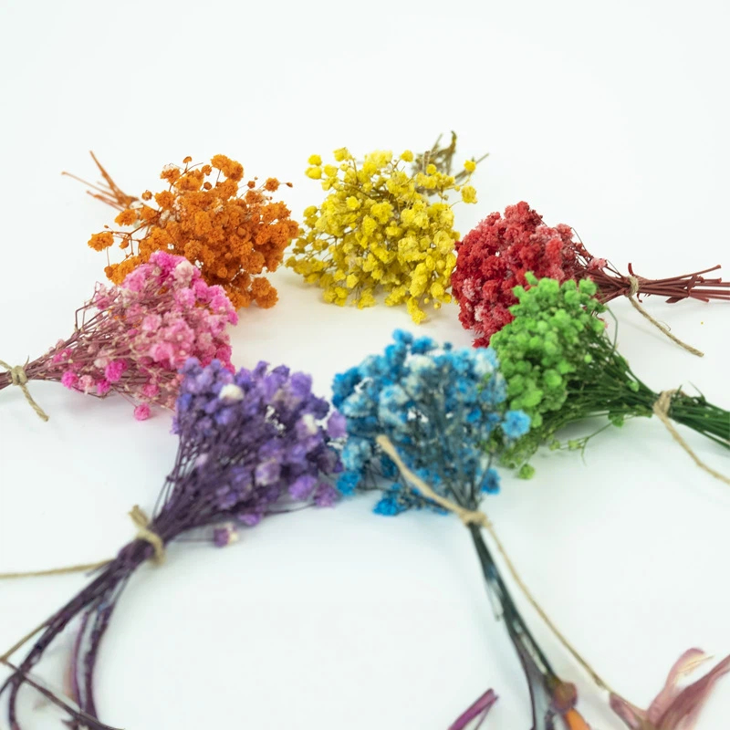 말린 안개꽃 50개 미니 천연 자이소필라 멀티 컬러 레 - Craft Embellishments 리뷰 및 가격